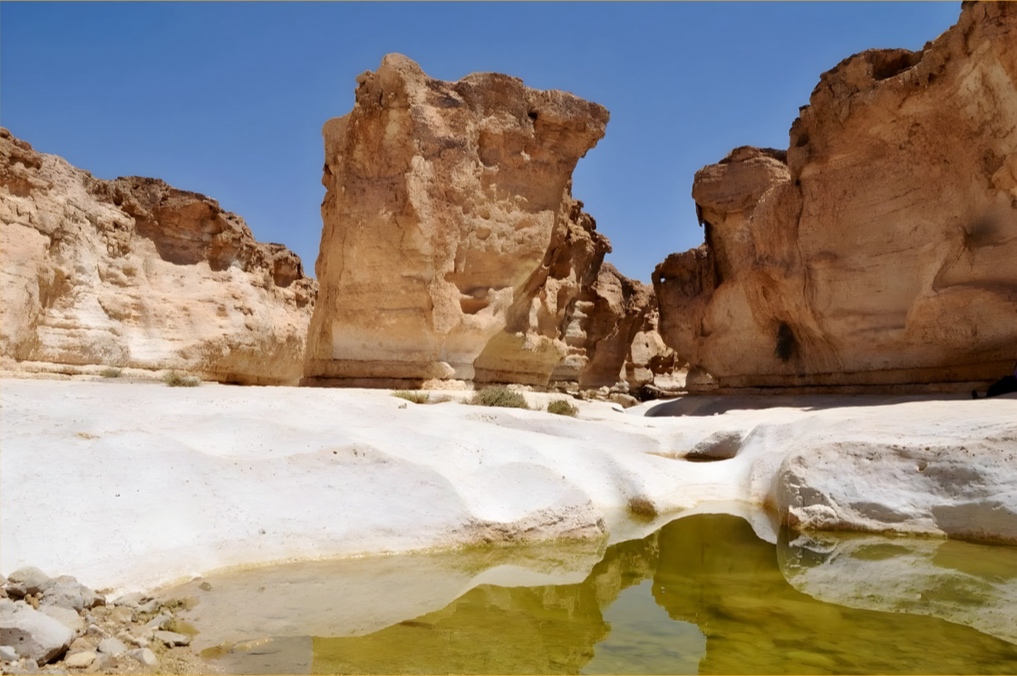 גבי פרס מלאים במים לאחר שיטפונות - צפון הערבה