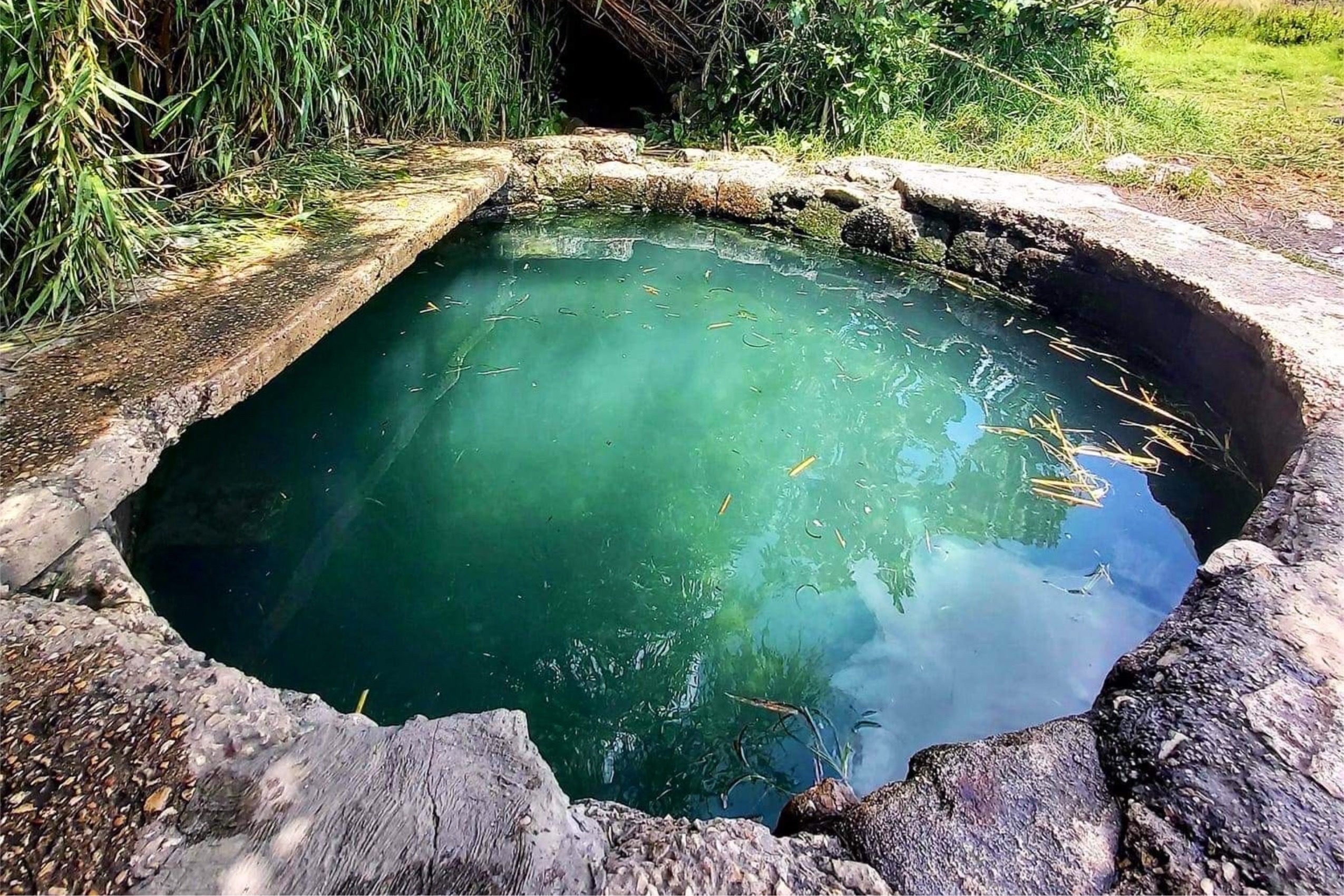 מעיין עין ורד