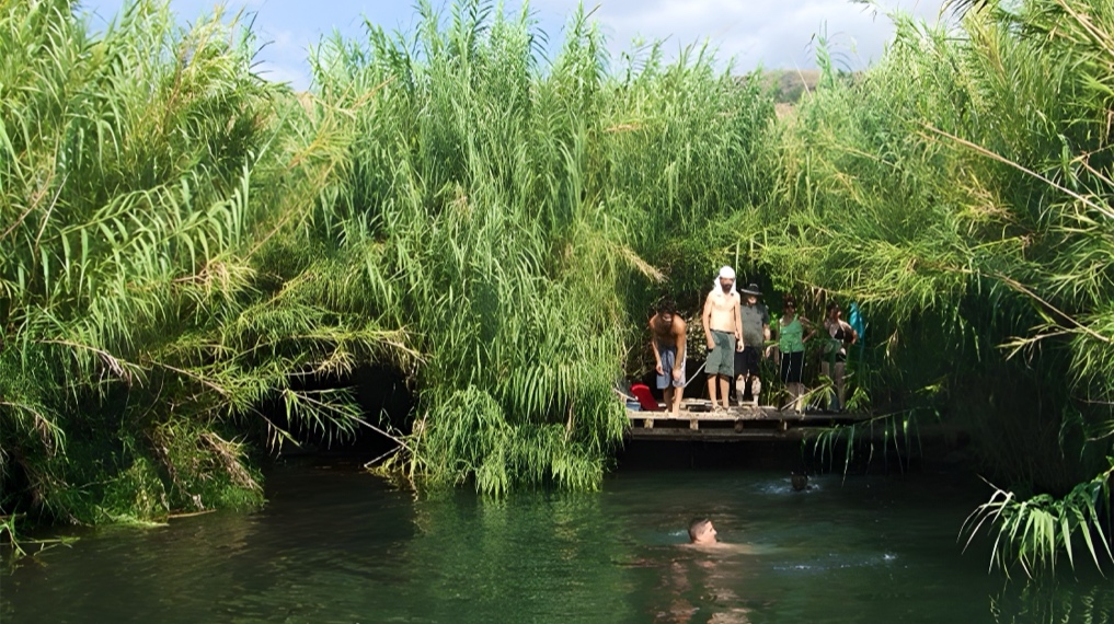 סכר ירדינון