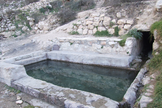 עין אורה, בריכת מעיין בהרי יהודה