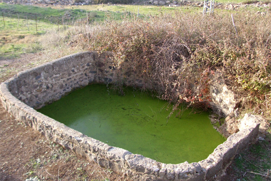 צומת האמיר בריכת הארמון