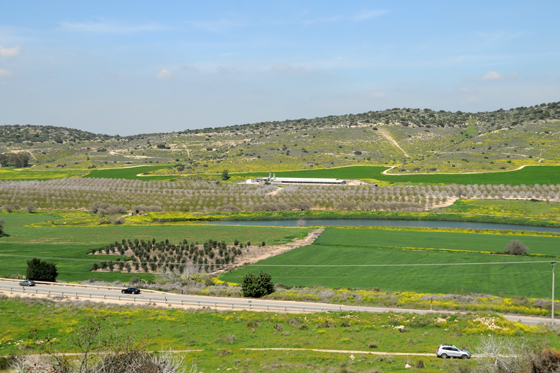 תצפית מתל שוכה על עמק האלה