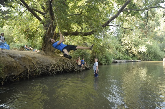 בריכת האי בנחל חרמון תחתון בשדה נחמיה
