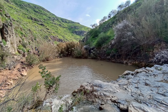 בריכת נחל תבור מלאה ויפה - הגליל התחתון