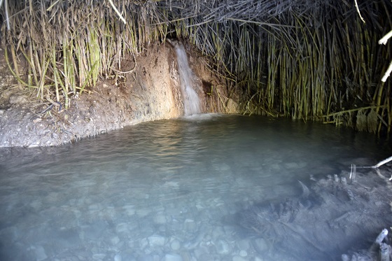 עין אביאל בנחל תנינים מסלול מים מעגלי