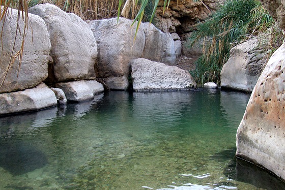 בריכה בנחל פרת תחתון