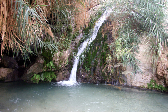 מערת דודים בנחל דוד - המפל והבריכה. מרכז מדבר יהודה