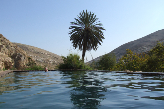 עין פרת בריכת התמר