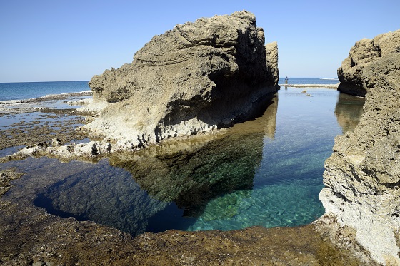 לגונות חוף דור - בריכה צלולה