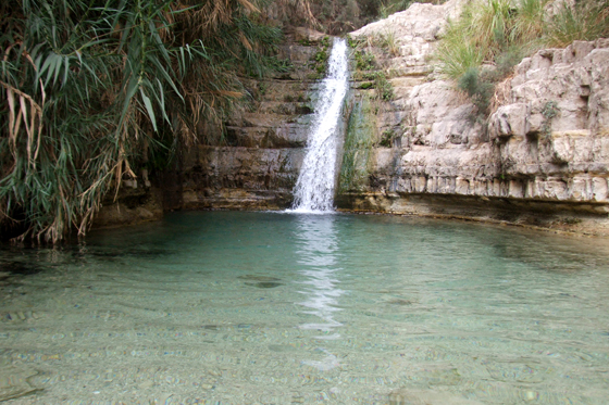 נחל דוד תחתון