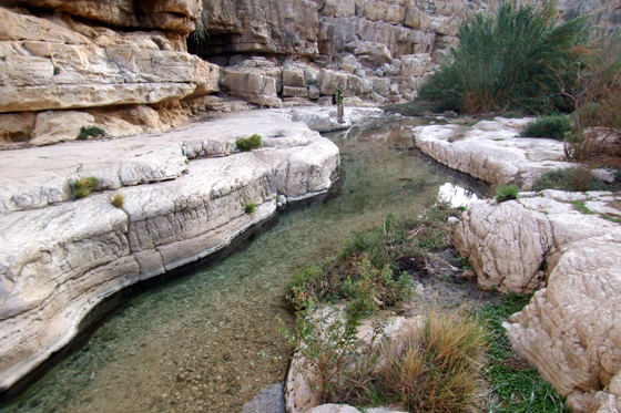 נחל פרת תחתון מדבר יהודה | בריכות שכשוך למשפחות עם ילדים