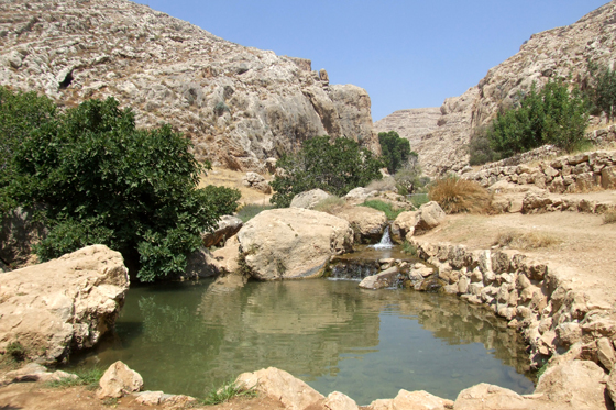 בריכות שמורת עין פרת