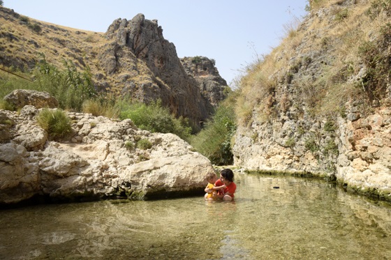 עין עמוד בנחל עמוד תחתון