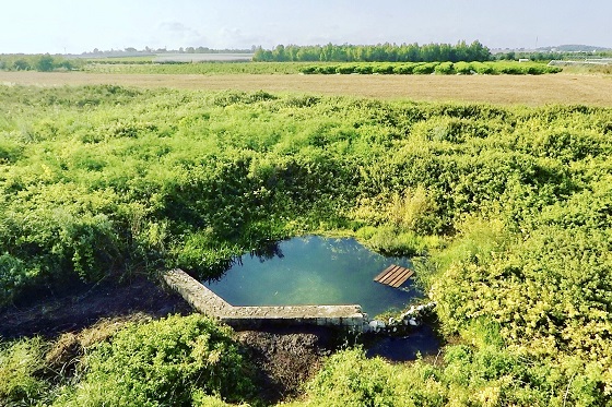 עין ארובות בעמק יזרעאל