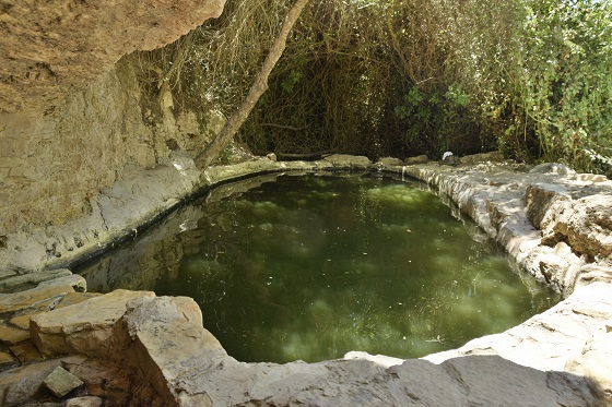 עין אשרך בהרי יהודה