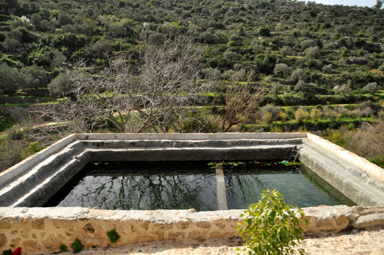 עין דני (עין בובין) במערב השומרון