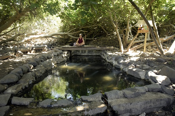 עין ג'וויזה