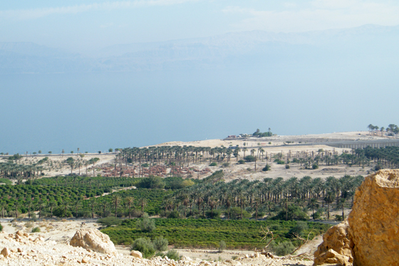 נוף עין גדי