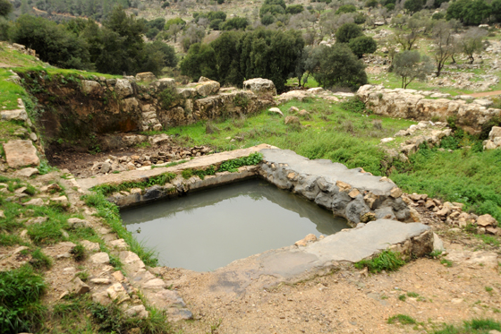 עין לימור (לימון) בהרי יהודה
