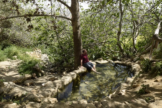 עין מבשר במבשרת ציון, הרי יהודה