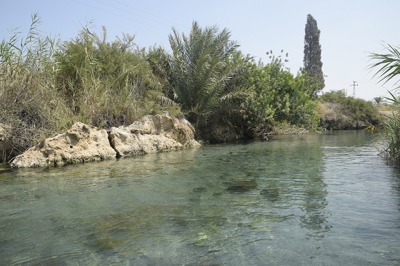 עין מגדל בעמק המעיינות