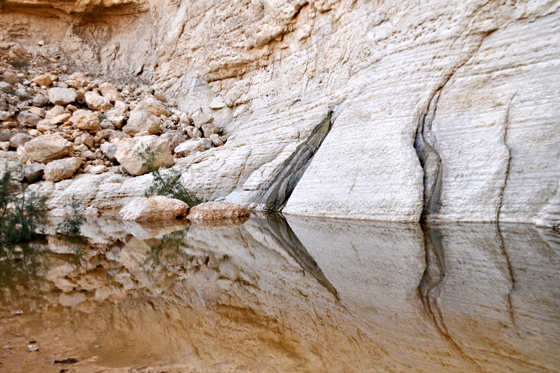 עין משמר במדבר יהודה