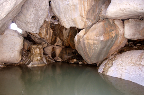 עין נמר בנחל צאלים - דרום מדבר יהודה