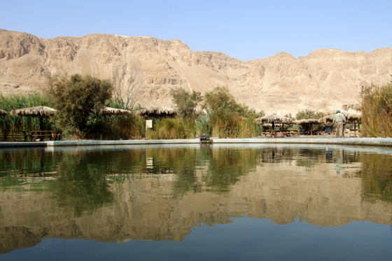 עיינות צוקים