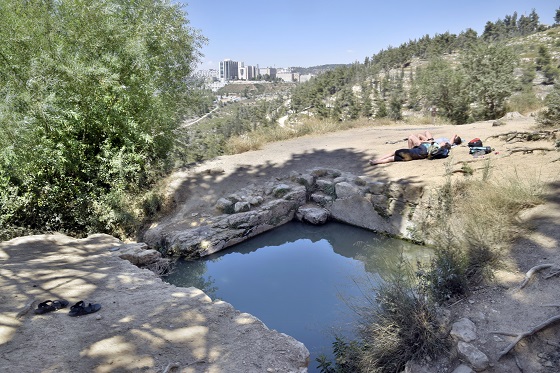 עין עוזי - בריכת המעיין העליונה