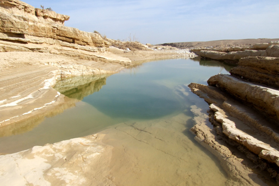 גב במפגש הנחלים צין וחוה מלא במים לאחר שיטפון - צפון הנגב