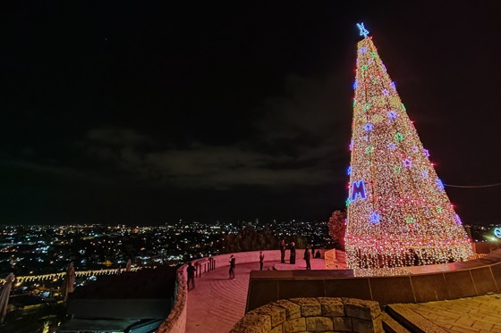 עץ חג המולד בתצפית הר הצופים בירושלים