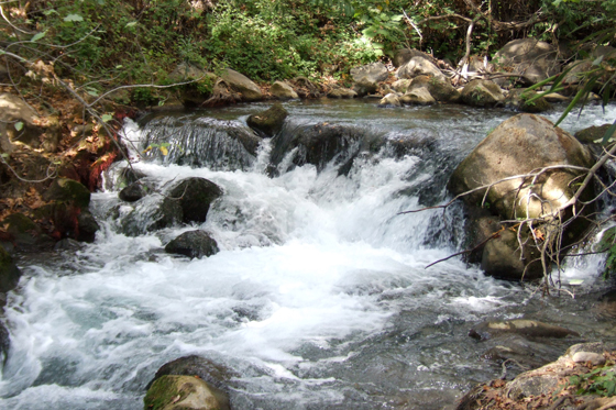 זרימת המים בנחל חרמון הבניאס