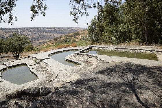 עין דיר עזיז, מעיין כנף בדרום רמת הגולן