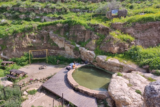 מעיין הדגל ליד משכיות - בקעת הירדן