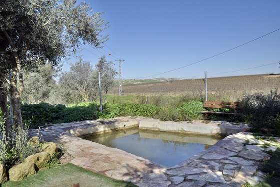 מעיין מבוא חורון - בריכת המעיין עין מחר במבוא חורון