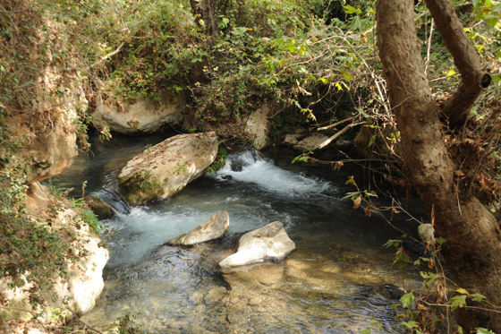 הבניאס מעיינות נחל חרמון