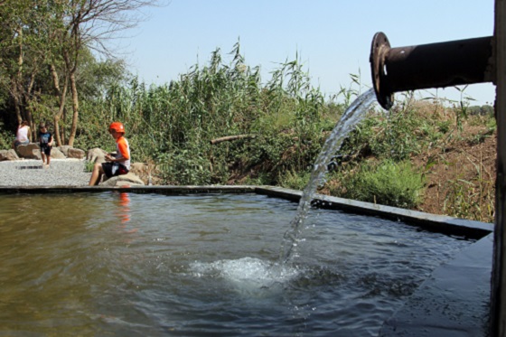 מעיין שדמות דבורה בגליל התחתון