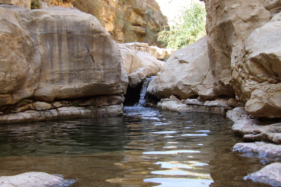 הבריכה העגולה בנקיק נחל פרת
