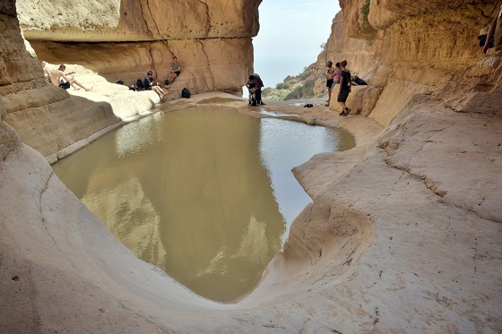 גב מפל החלון בנחל דוד מלא במים - מרכז מדבר יהודה