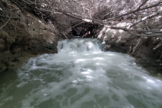 הירידה בתוך המים בשביל המפלים הלבנים האתגרי - עמק בית שאן/המעיינות