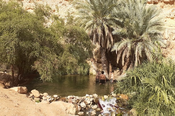 בריכה בנחל ייטב