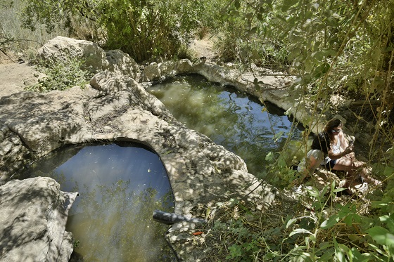 עין שריג בציר המעיינות בהרי יהודה