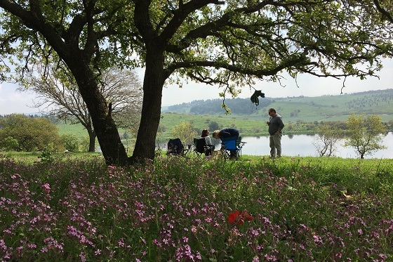 התצפית המרשימה על האגמים הנעלמים ברמות מנשה