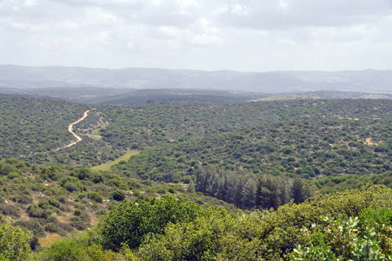 רמת אבישור במסלול ממצפה משואה לתל גודד