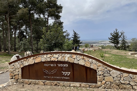 מצפור השייטת בדרום הכרמל