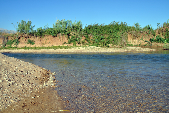 חוף חלוקים בנחל שניר