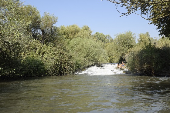 נחל חרמון תחתון