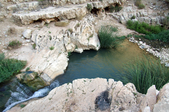 בריכה בנחל פרת עליון