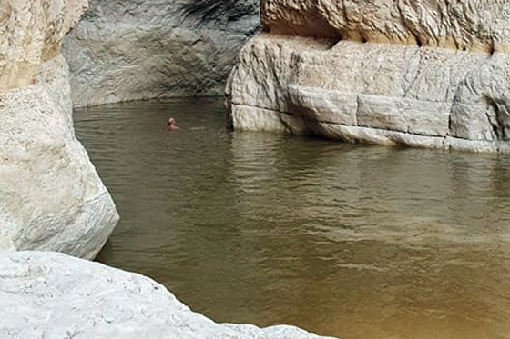 גב ארוך ומלא במים בנחל רחף - דרום מדבר יהודה