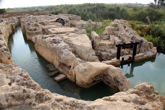 שמורת נחל תנינים